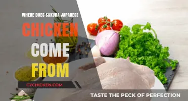 Exploring Sakura Japanese Chicken's Origins: A Culinary Journey