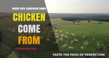 Where Does Sanderson Farms Chicken Come From? A Detailed Look
