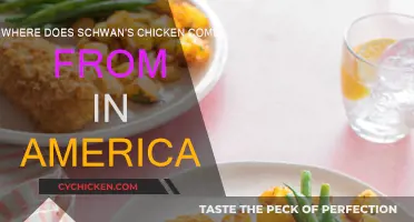 Schwan's Chicken: American-Raised, Farm-Fresh Delights
