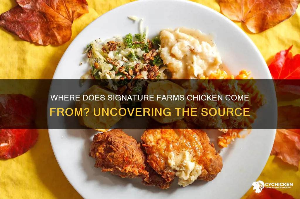 where does signature farms chicken come from
