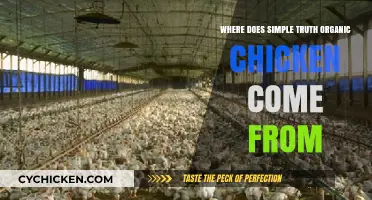 Unveiling the Origins of Simple Truth Organic Chicken: A Farm-to-Table Journey