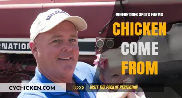 Spot Farms Chicken Origins: Uncovering the Source of Quality Poultry