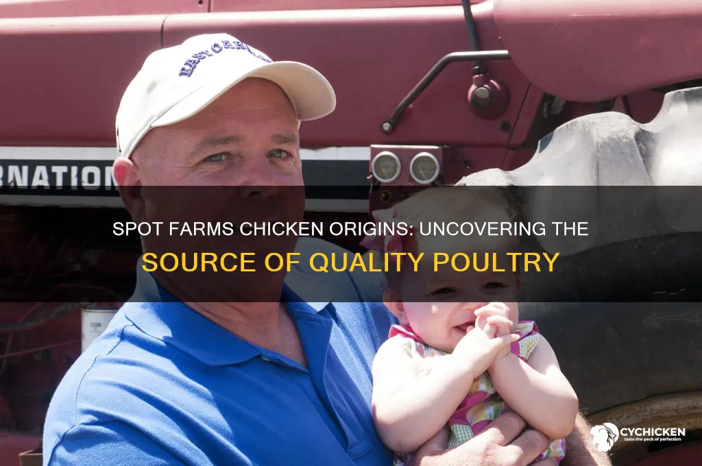 where does spots farms chicken come from