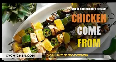 Where Does Sprouts Organic Chicken Come From? Uncovering the Source