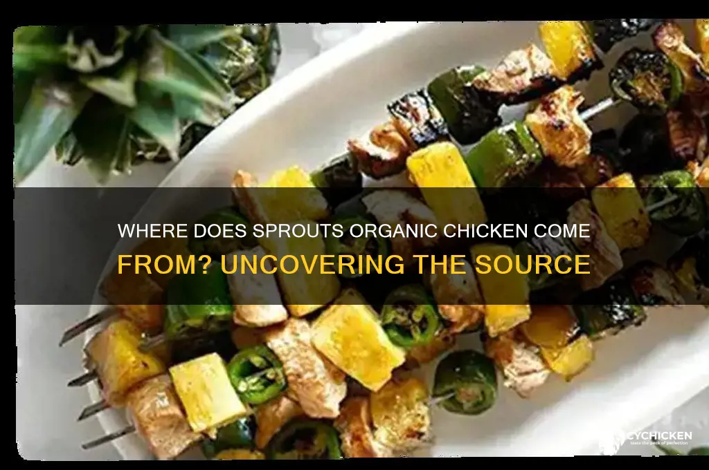 where does sprouts organic chicken come from