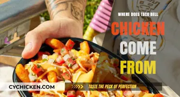 Unveiling Taco Bell's Chicken Origins: A Detailed Supply Chain Journey