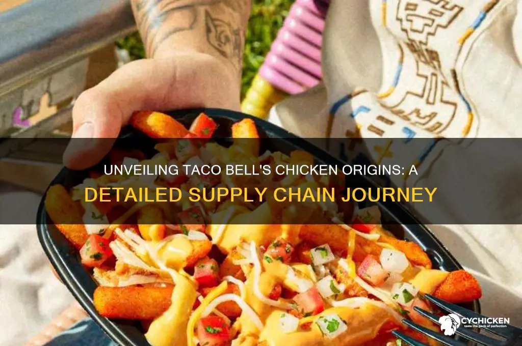 where does taco bell chicken come from