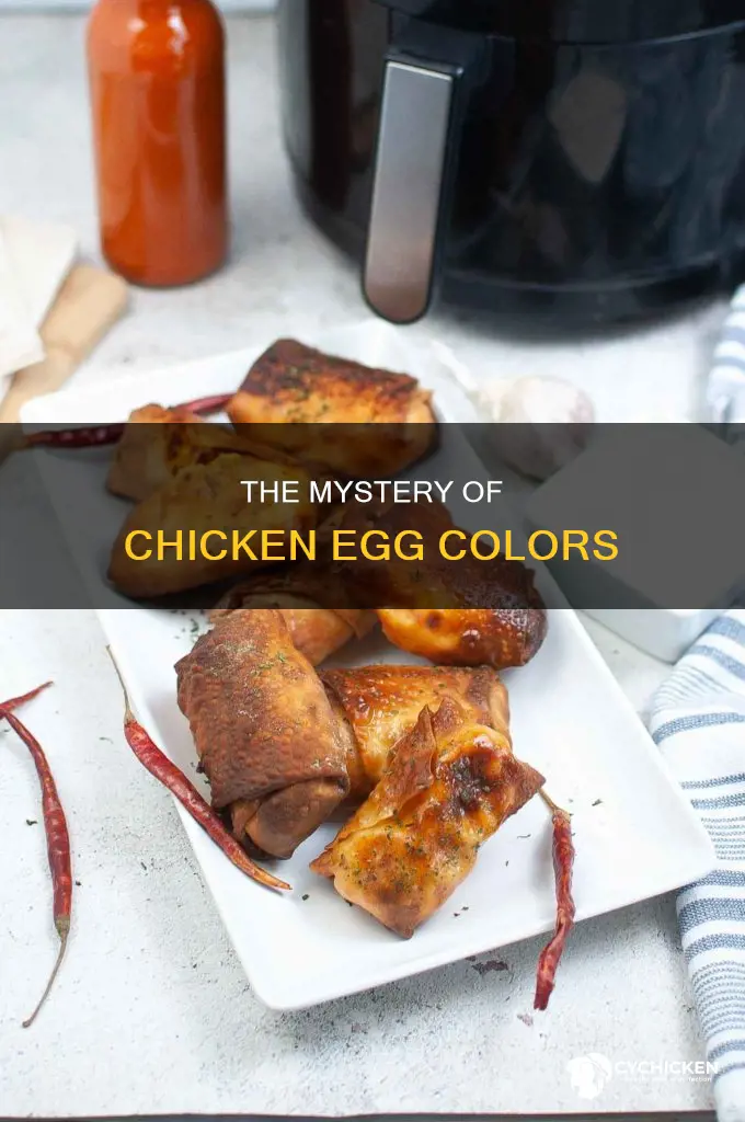 where does the chicken come from the white or yellow