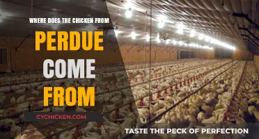 Perdue's Chicken Origins: Tracing the Journey from Farm to Table