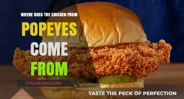 Unveiling Popeyes' Chicken Origins: A Journey from Farm to Fryer