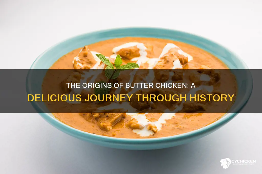 where does the dish butter chicken come from