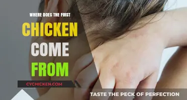 The Origin of Chickens: Unraveling the Mystery of the First Chicken
