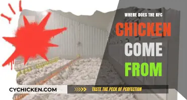 Unveiling KFC's Chicken Origins: Farms, Suppliers, and Quality Standards