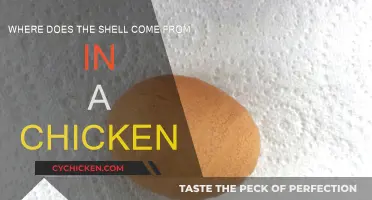 The Chicken Shell Mystery: Origin Story