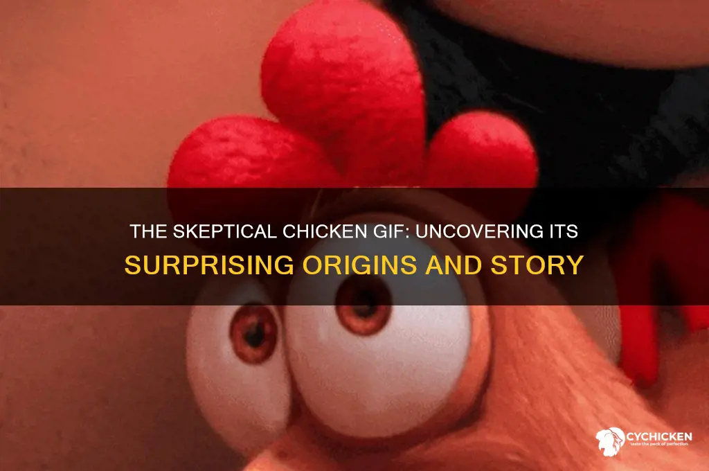 where does the skeptical chicken gif come from
