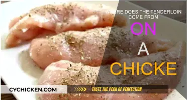 The Tenderloin's Chicken Source