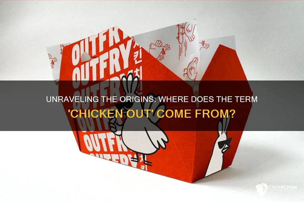 where does the term chicken out come from
