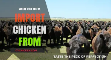 UK's Chicken Imports: Key Sources and Supply Chain Insights
