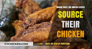 Tracing the Origins: Where Does the U.S. Source Its Chicken?