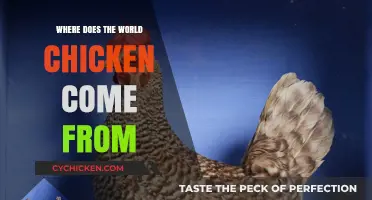 Unraveling the Global Origins of the Chicken's Ancient History