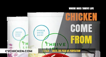 Thrive Life Chicken Origins: Tracing the Source of Quality Poultry