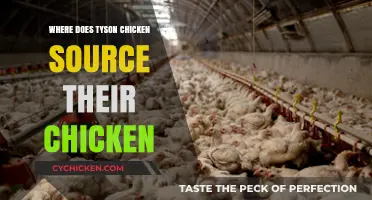 Tyson Chicken Sourcing: Uncovering the Origins of Their Poultry Supply