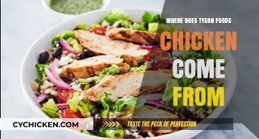 Where Does Tyson Foods Chicken Come From? A Detailed Supply Chain Overview