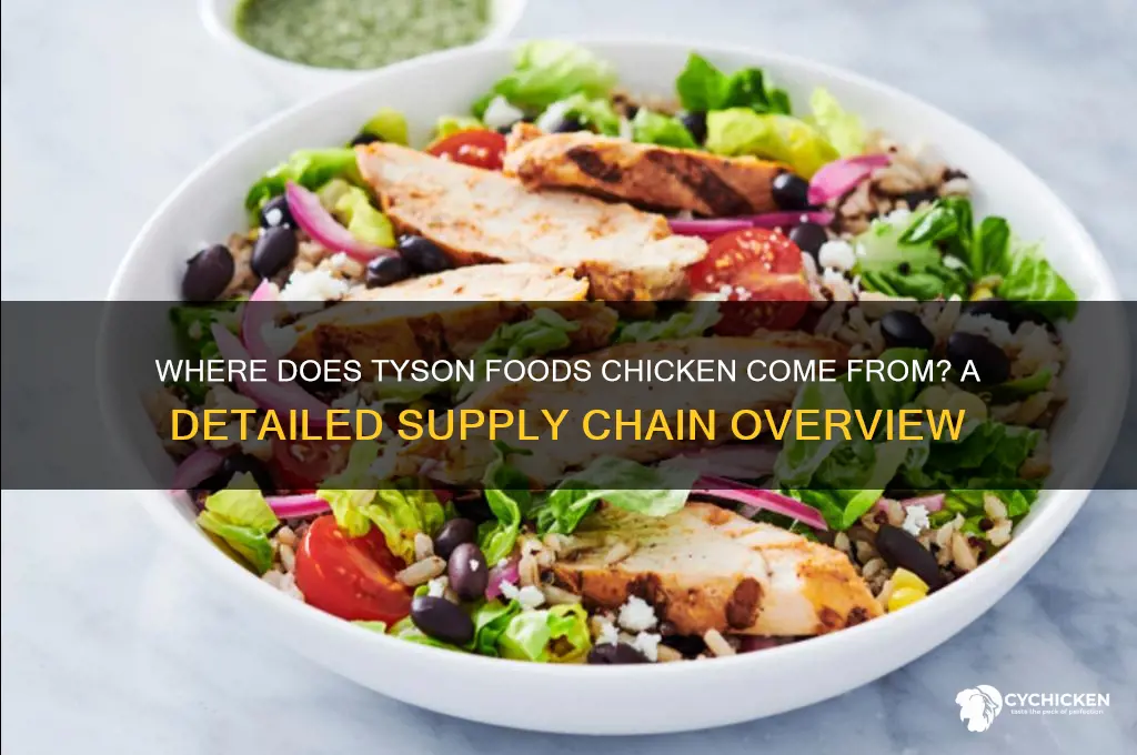 where does tyson foods chicken come from