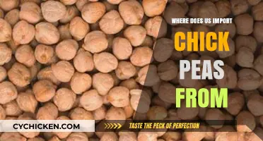 Where Do US Chickpeas Come From? Top Import Sources Revealed