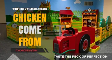Where Does Wegmans Organic Chicken Come From? A Farm-to-Table Journey