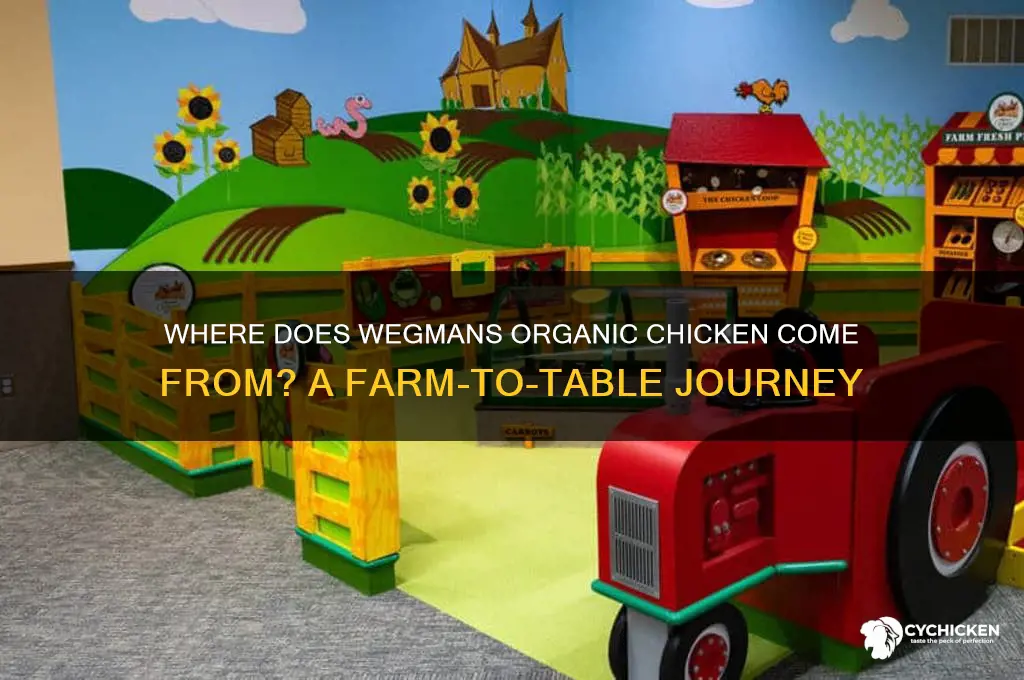 where does wegmans organic chicken come from