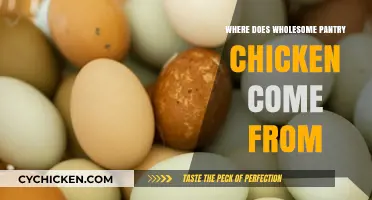 Discovering the Origins of Wholesome Pantry Chicken: A Farm-to-Table Journey