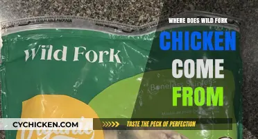Where Does Wild Fork Chicken Come From? Uncovering the Source