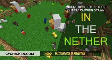 Finding the Nether Quartz Chicken in the Nether