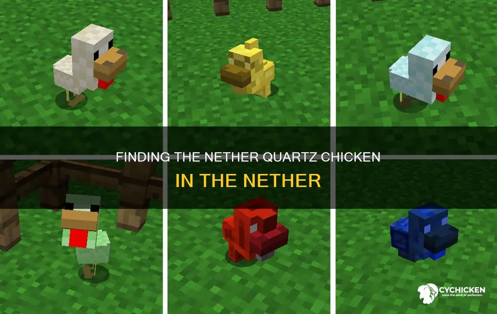 where dose the nether quartz chicken spawn in the nether