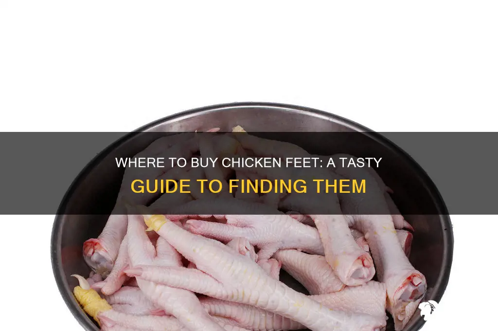 where i can buy chicken feet