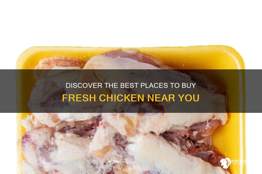 where i can buy chicken