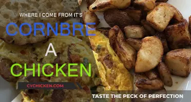 Cornbread and Chicken: A Southern Comfort Story