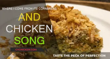 Cornbread and Chicken: Southern Comfort Food