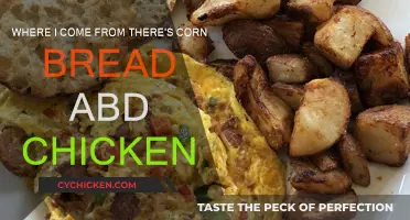 Southern Comforts: Cornbread and Chicken Delights