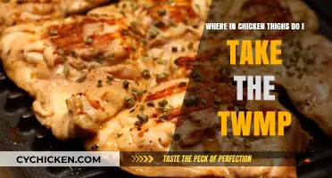 Finding the Sweet Spot: Locating the Temperature Zone in Chicken Thighs