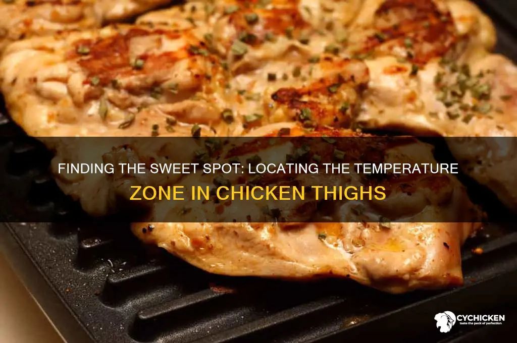 where in chicken thighs do i take the twmp