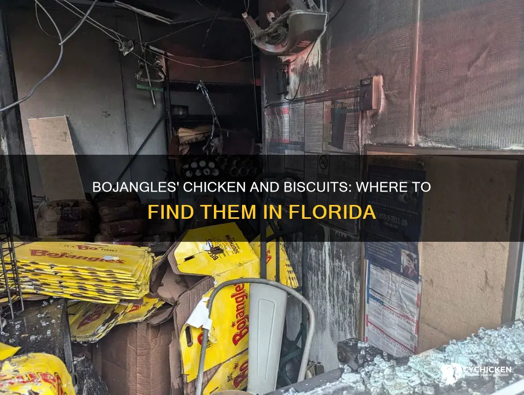 where in florida is a bojangles chicken and biscuit place