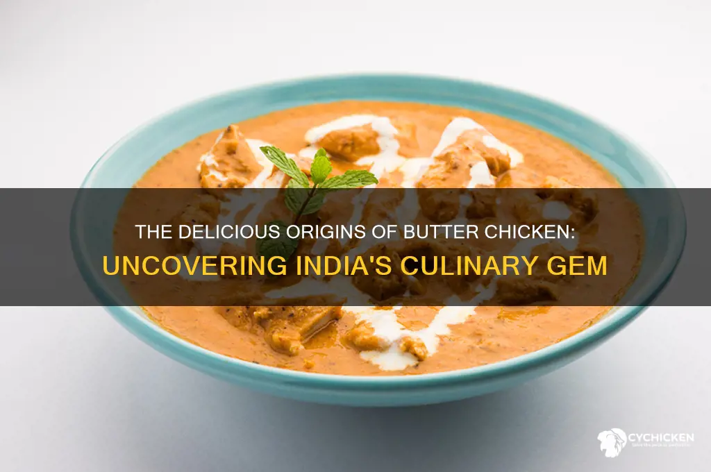 where in india does butter chicken come from