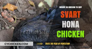 Discover Oregon's Best Sources for Svart Hona Chickens: A Guide