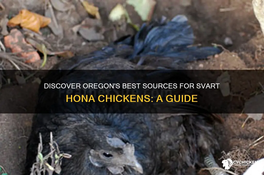 where in oregon to buy svart hona chicken