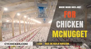 Inside the Secret: Where Chicken McNuggets Are Made
