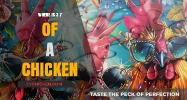 Where is 3/7 of a Chicken? Unraveling the Culinary Mystery