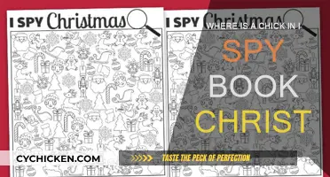 Find the Chick in I Spy Christmas Book