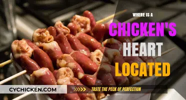 Understanding Chicken Anatomy: Locating the Heart in Poultry